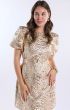 Freeebird Doortje Dress Gold